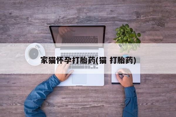 打胎药微信家猫怀孕打胎药(猫 打胎药)